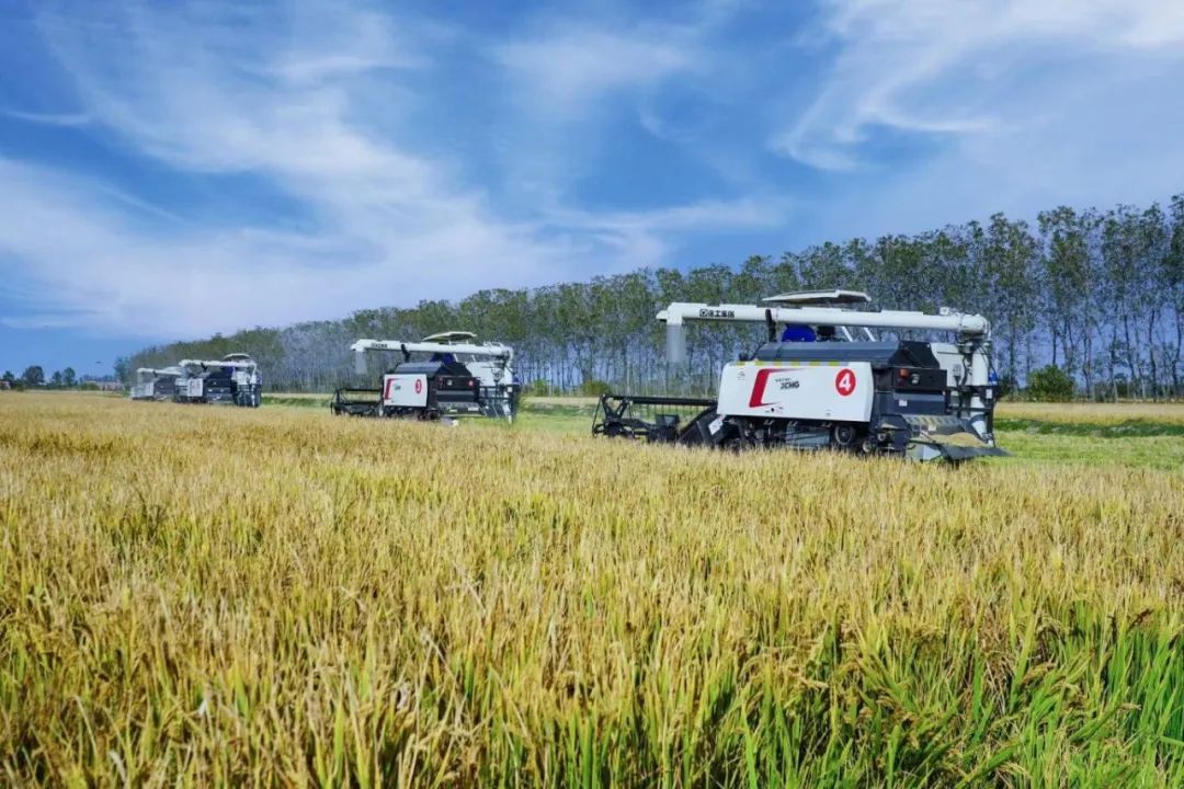 bifa·必发(中国区)唯一官方网站
